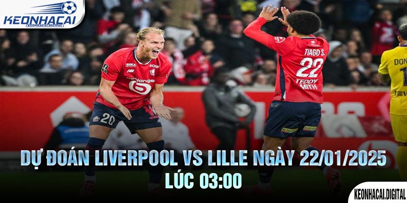 Dự đoán Liverpool vs Lille Ngày 22/01/2025