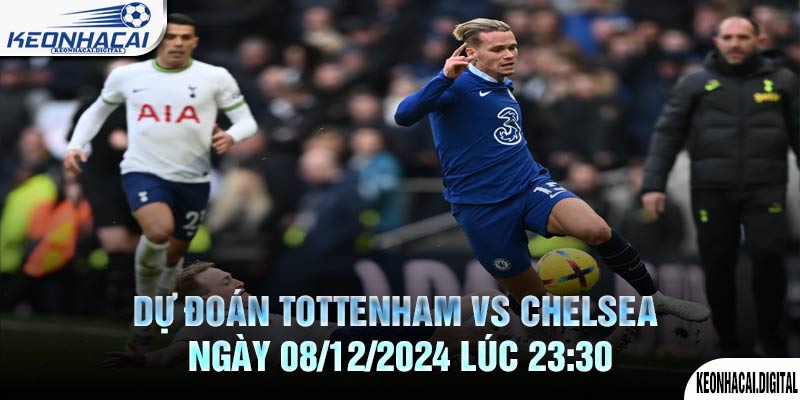 Dự đoán Tottenham vs Chelsea Ngày 08/12/2024